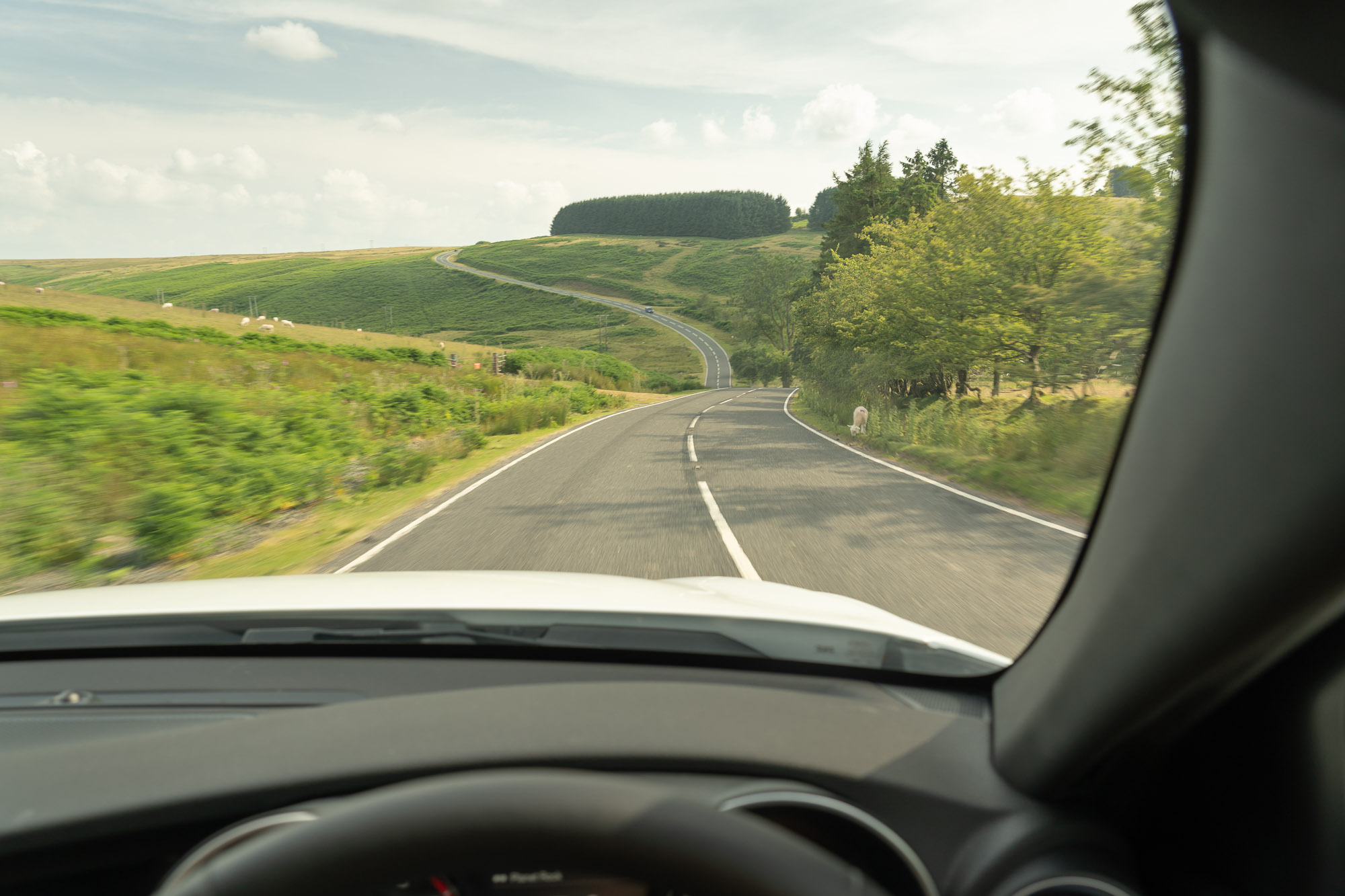 difference-between-highway-and-freeway-what-are-you-driving-on