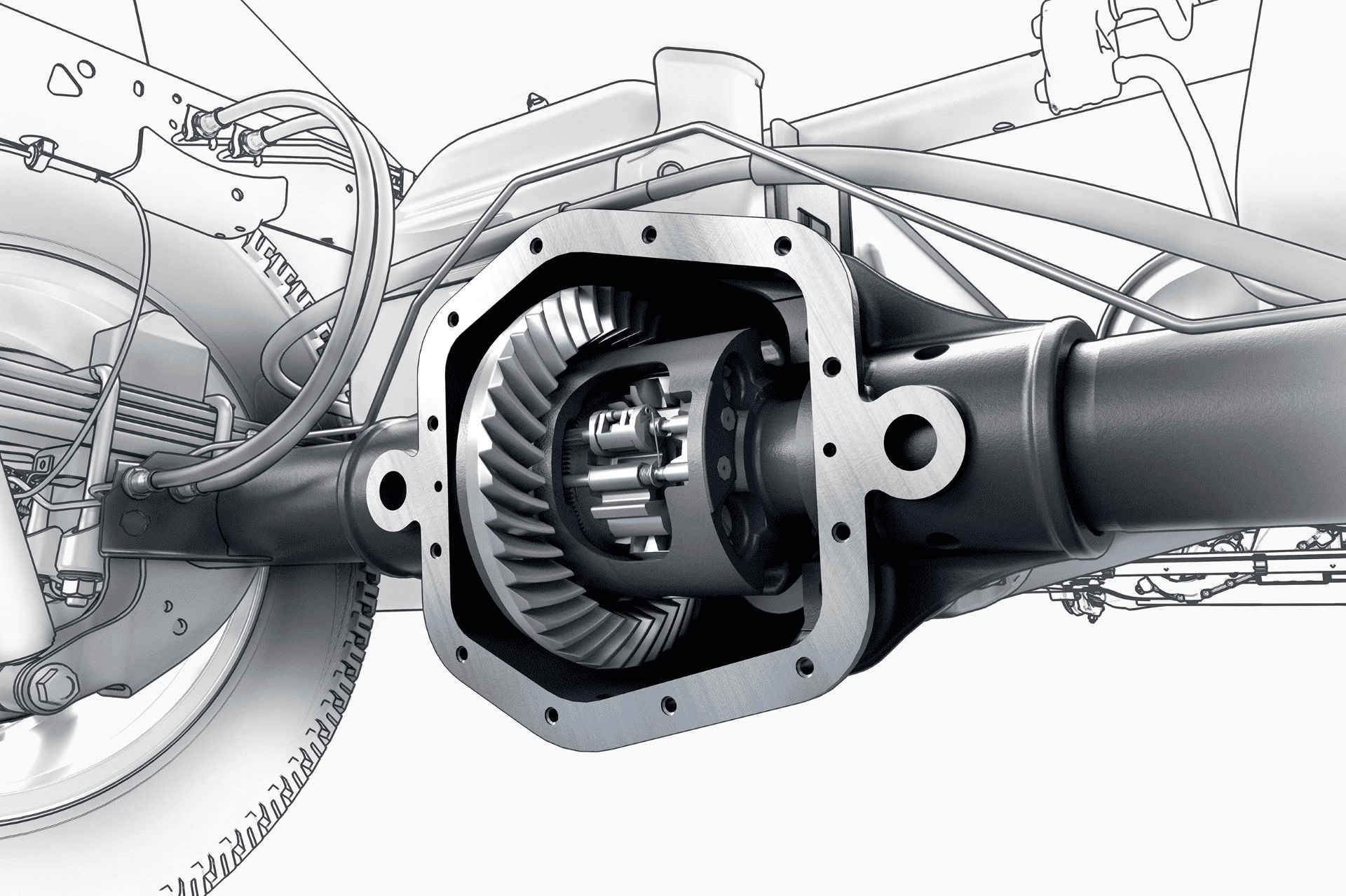 Rear Differential Fluid How Often Should I Change Rear Diff Oil