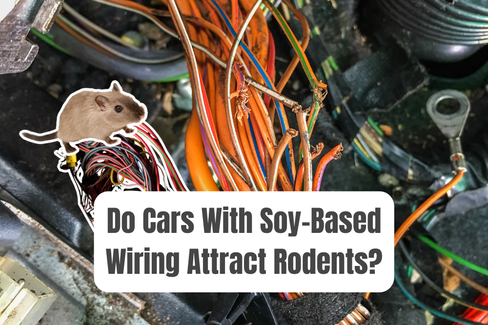 Which Cars Have Soy Based Wiring Do They Attract Rodents?