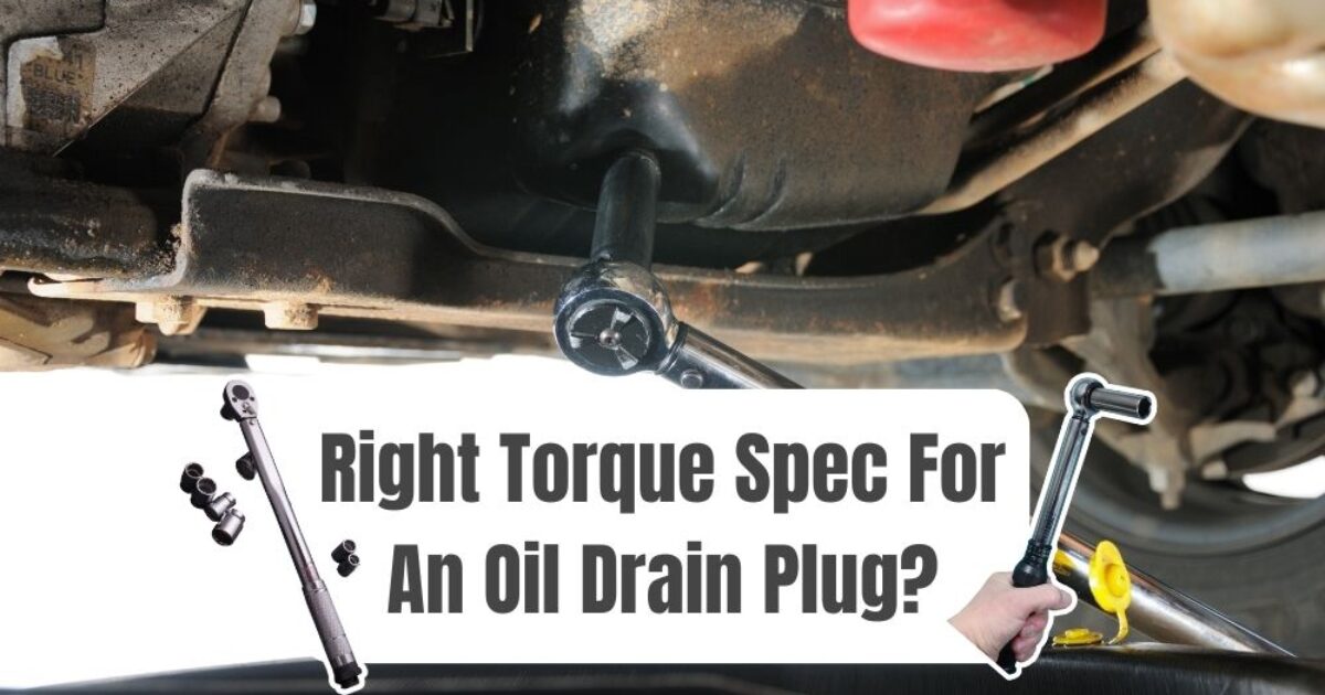 what-is-the-torque-spec-for-oil-drain-plug-specifications-chart